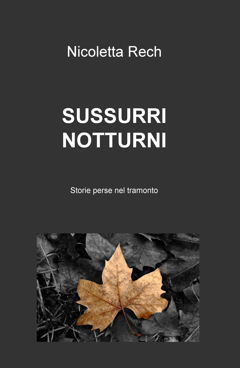Sussurri notturni. Storie perse nel tramonto