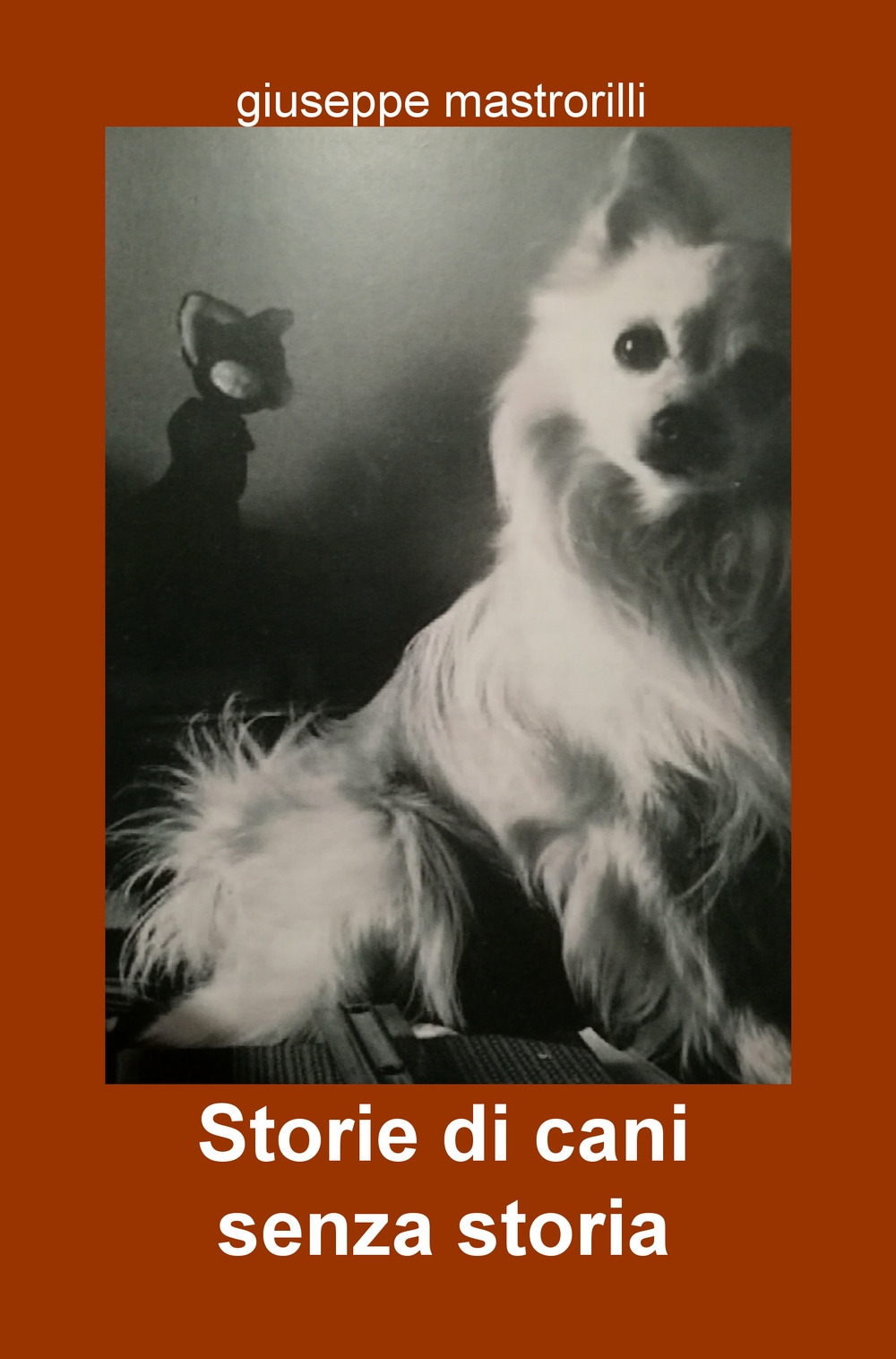 Storie di cani senza storia