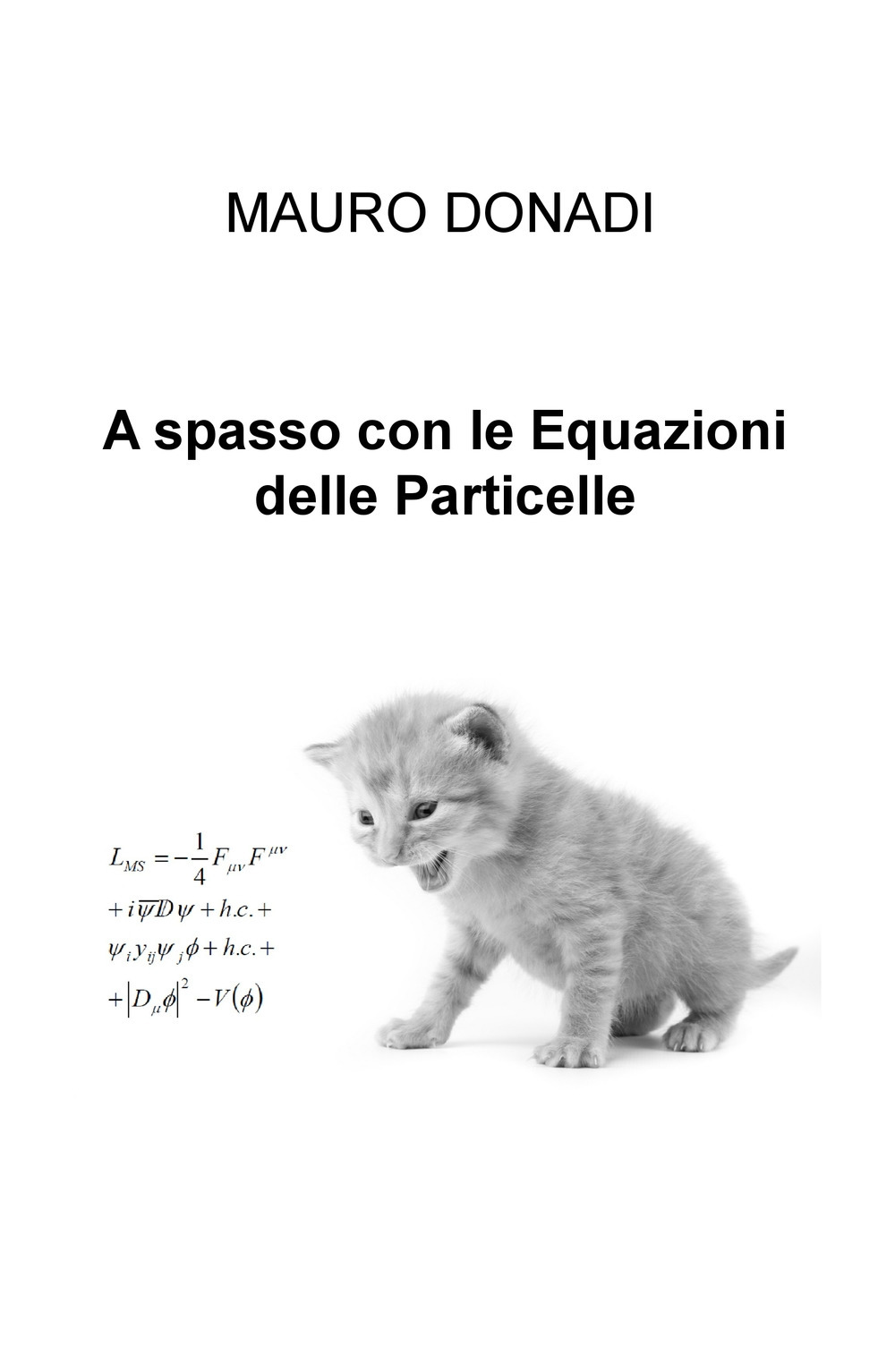 A spasso con le equazioni delle particelle