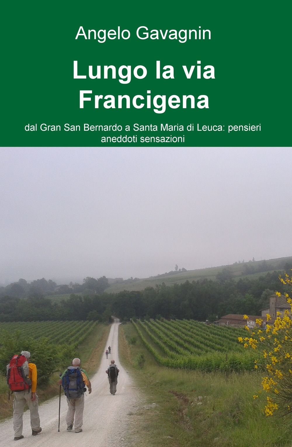 Lungo la via Francigena. Dal Gran San Bernardo a Santa Maria di Leuca: pensieri, aneddoti, sensazioni