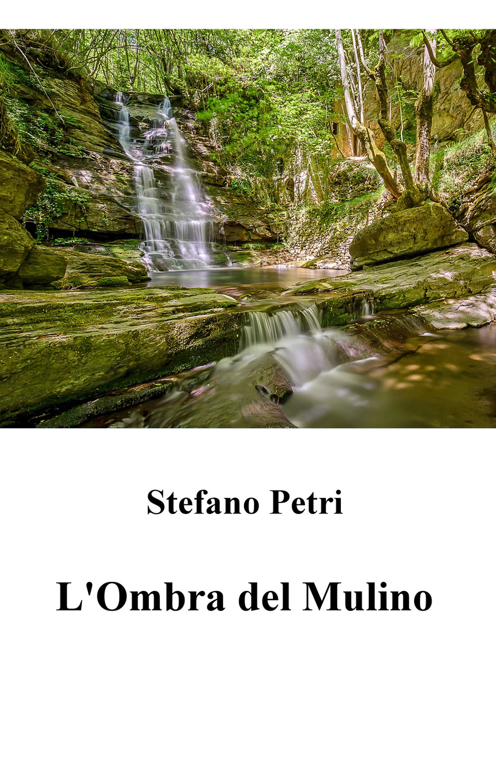 L'ombra del mulino