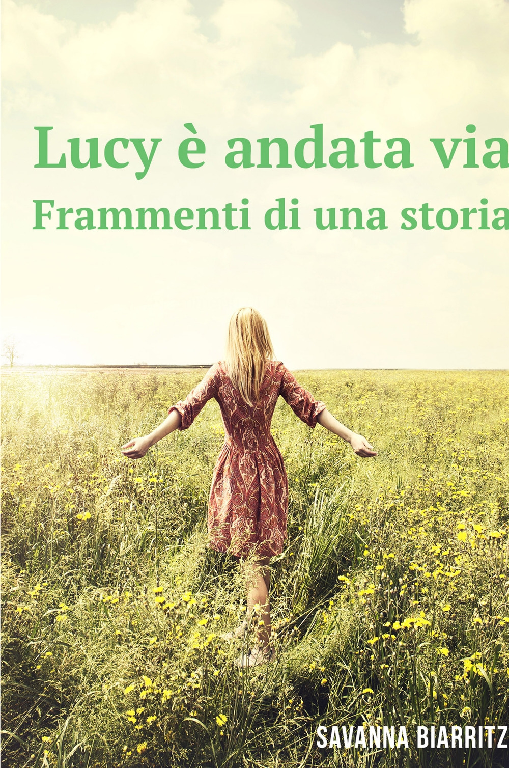 Lucy è andata via. Frammenti di una storia
