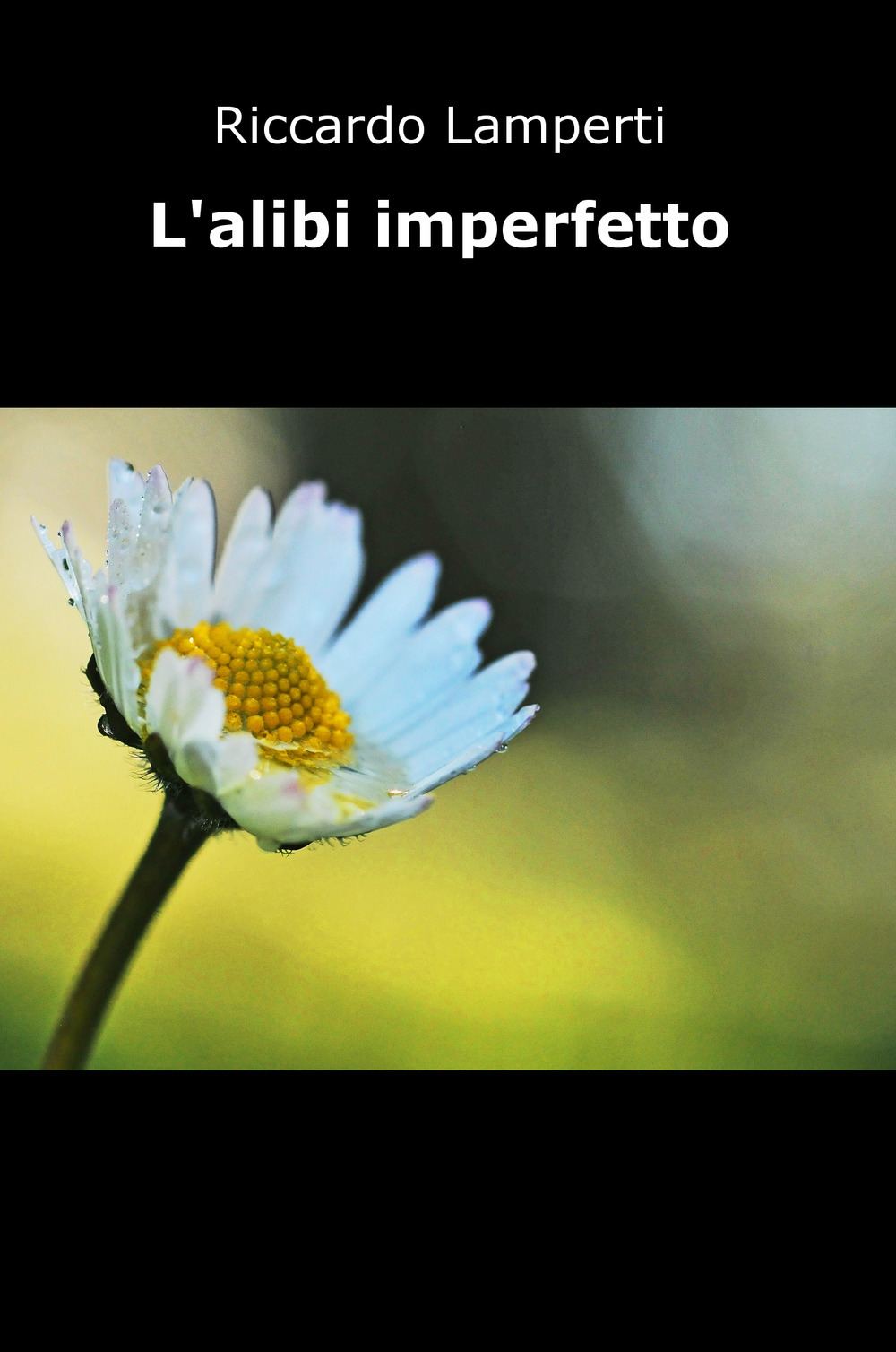 L'alibi imperfetto