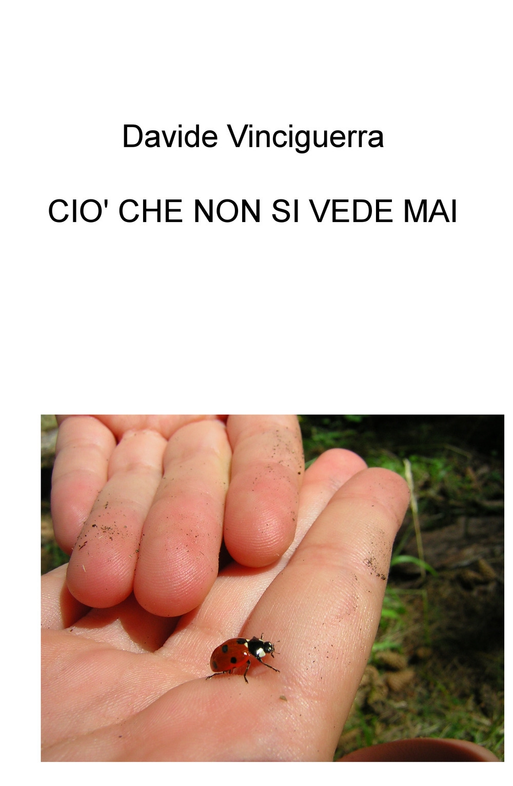 Ciò che non si vede mai