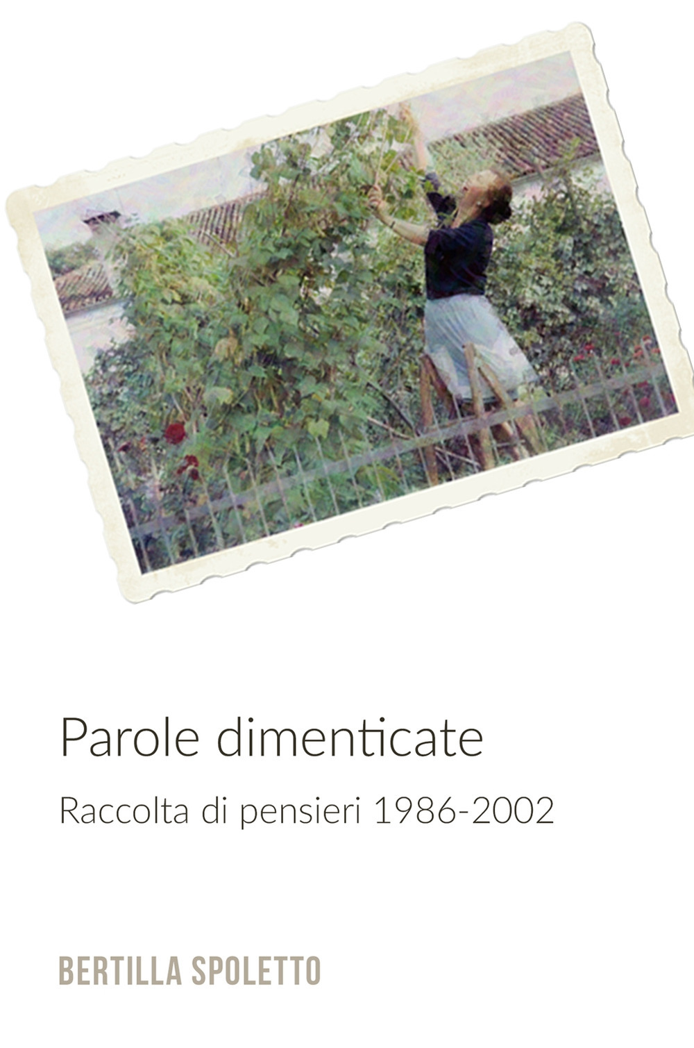 Parole dimenticate. Raccolta di pensieri 1986-2002