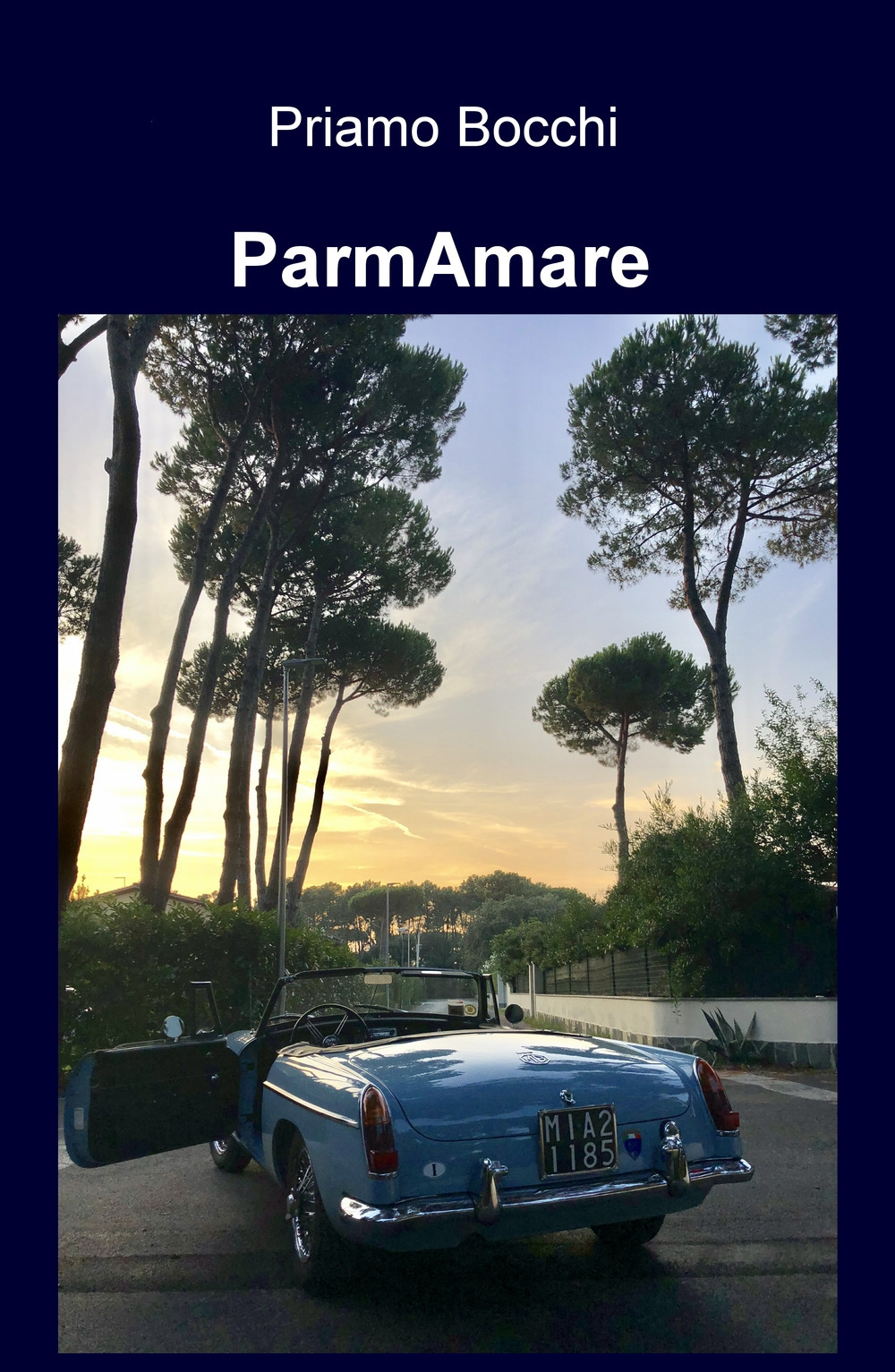 ParmAmare