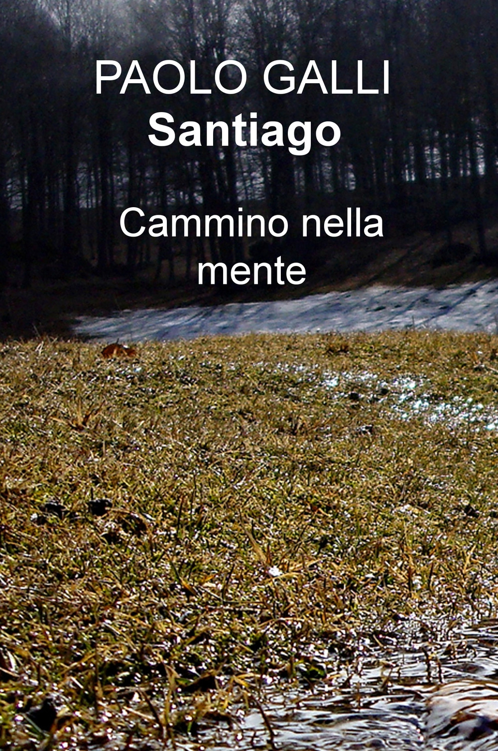 Santiago. Cammino nella mente