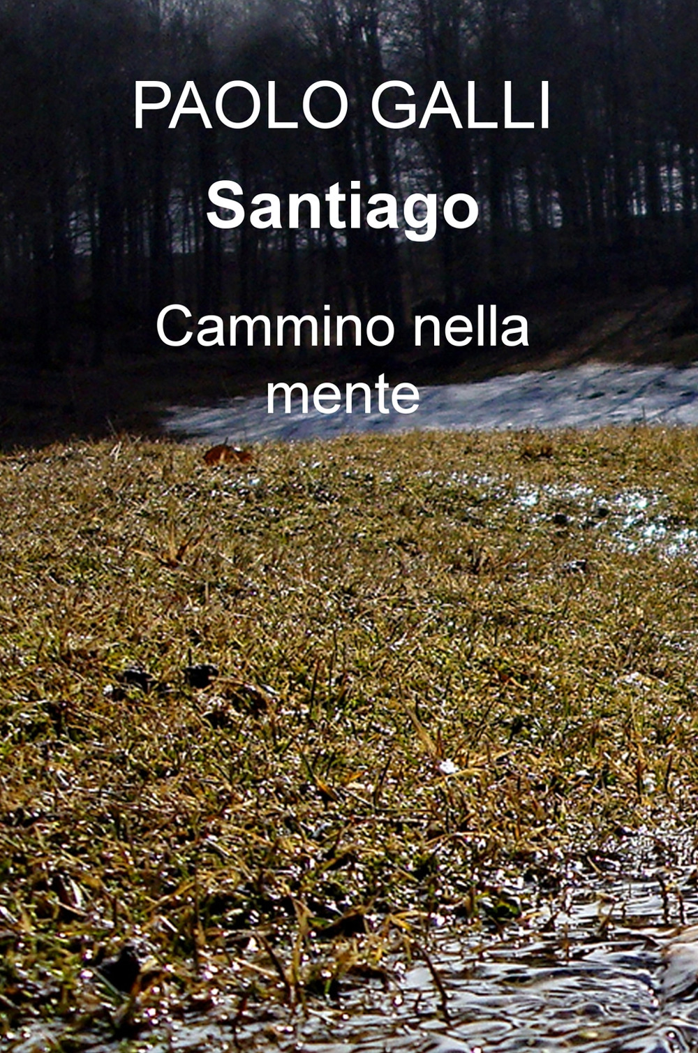 Santiago. Cammino nella mente