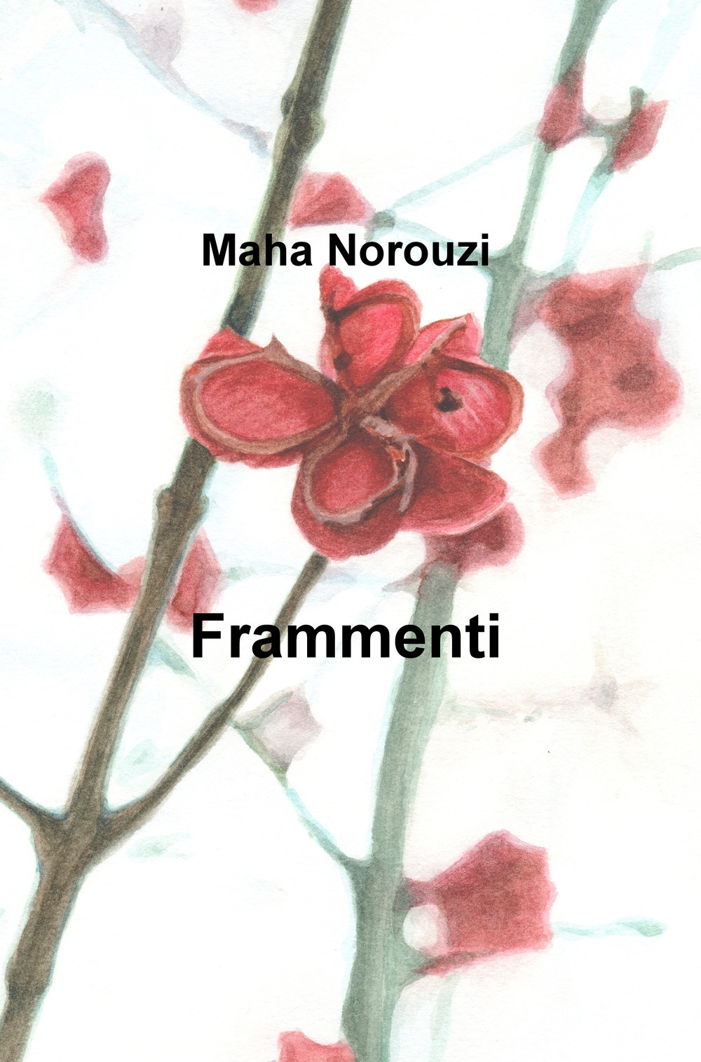 Frammenti