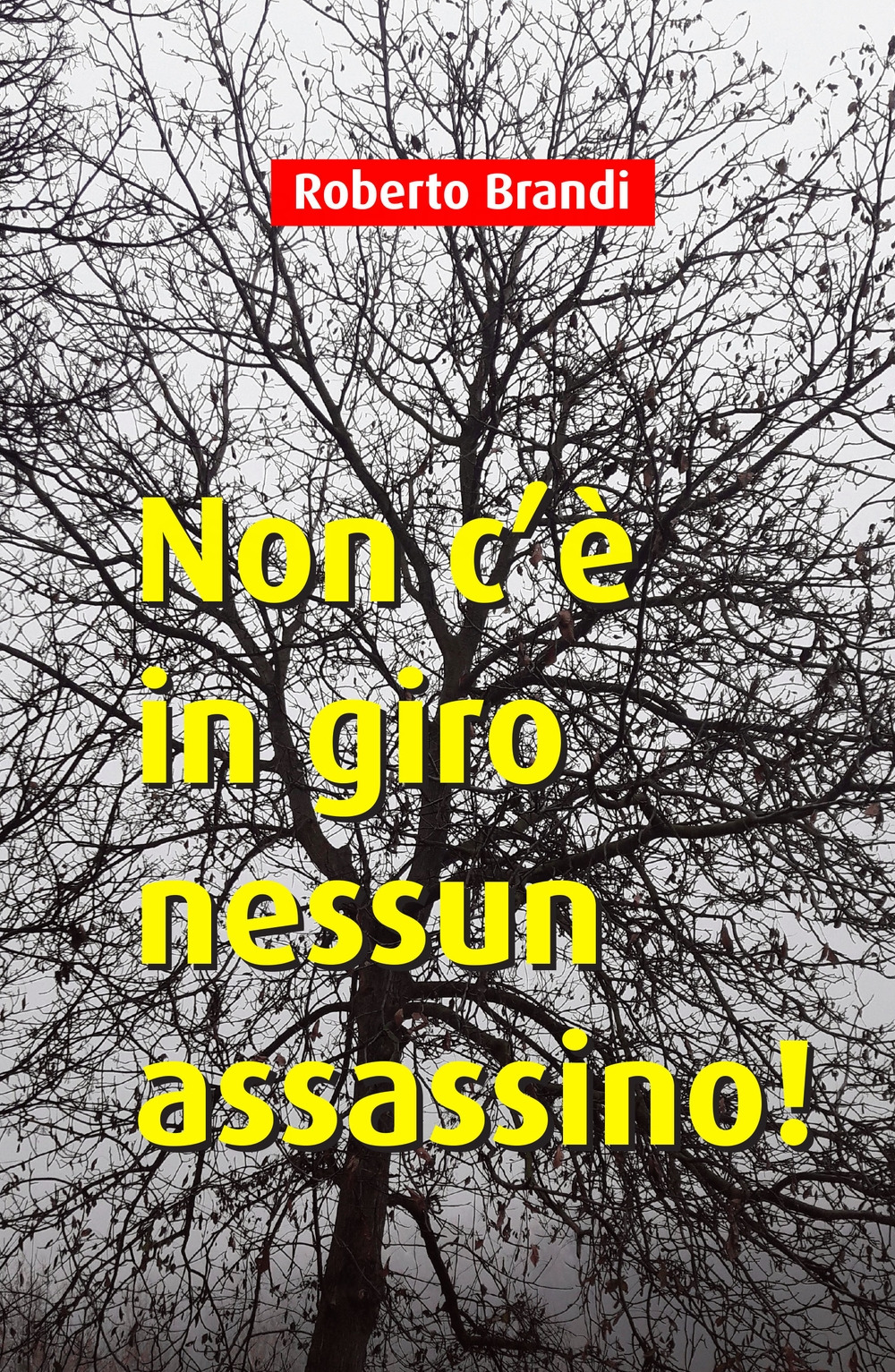Non c'è in giro nessun assassino!