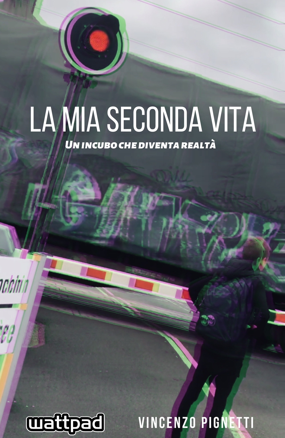 La mia seconda vita. Un incubo che diventa realtà