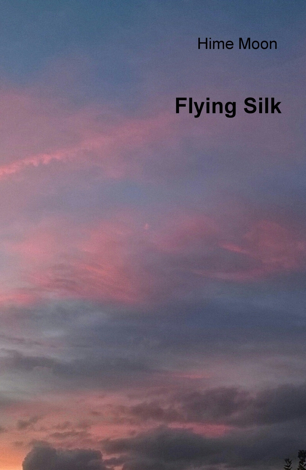 Flying silk. Ediz. italiana