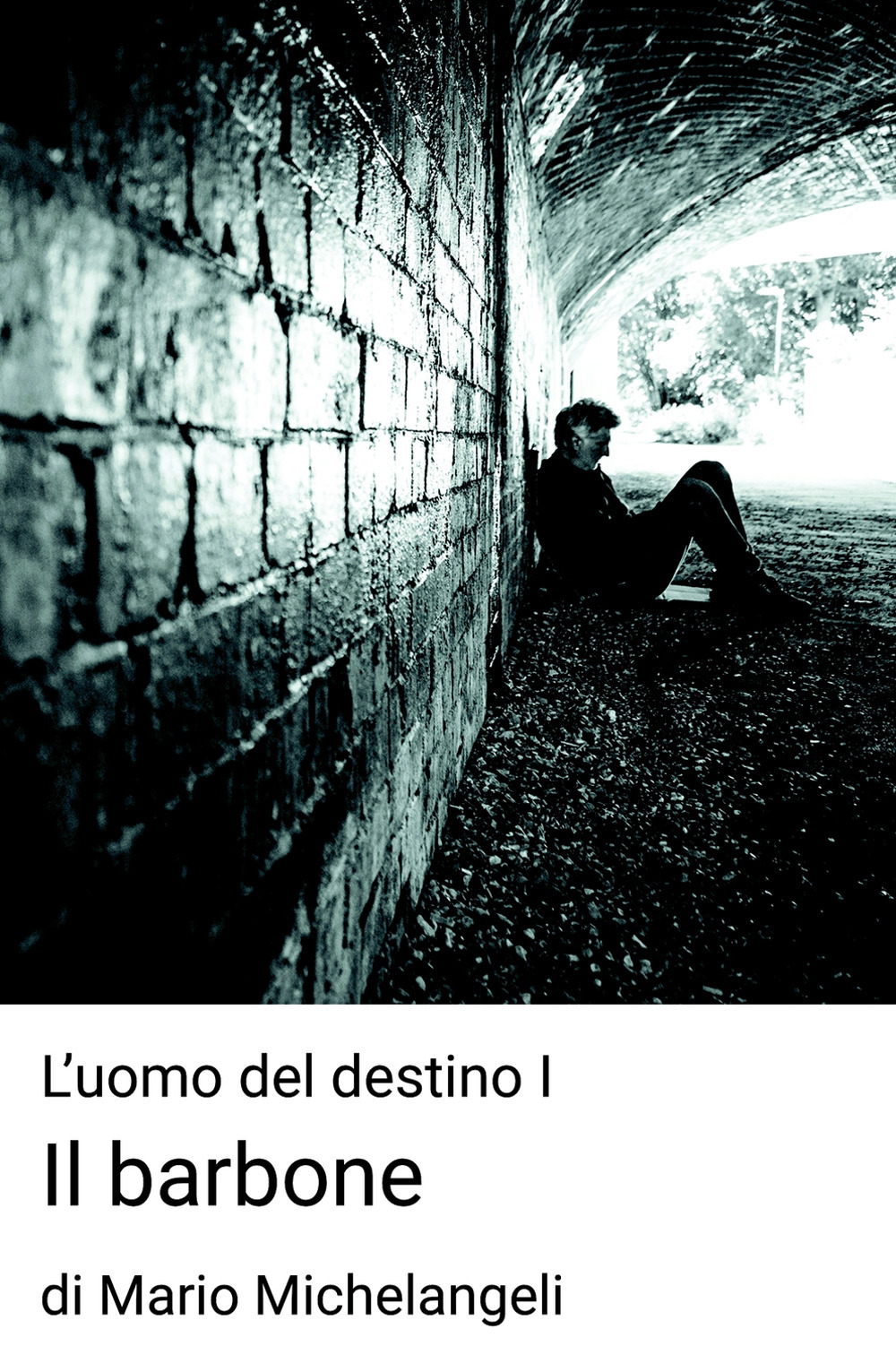 Il barbone. L'uomo del destino. Vol. 1