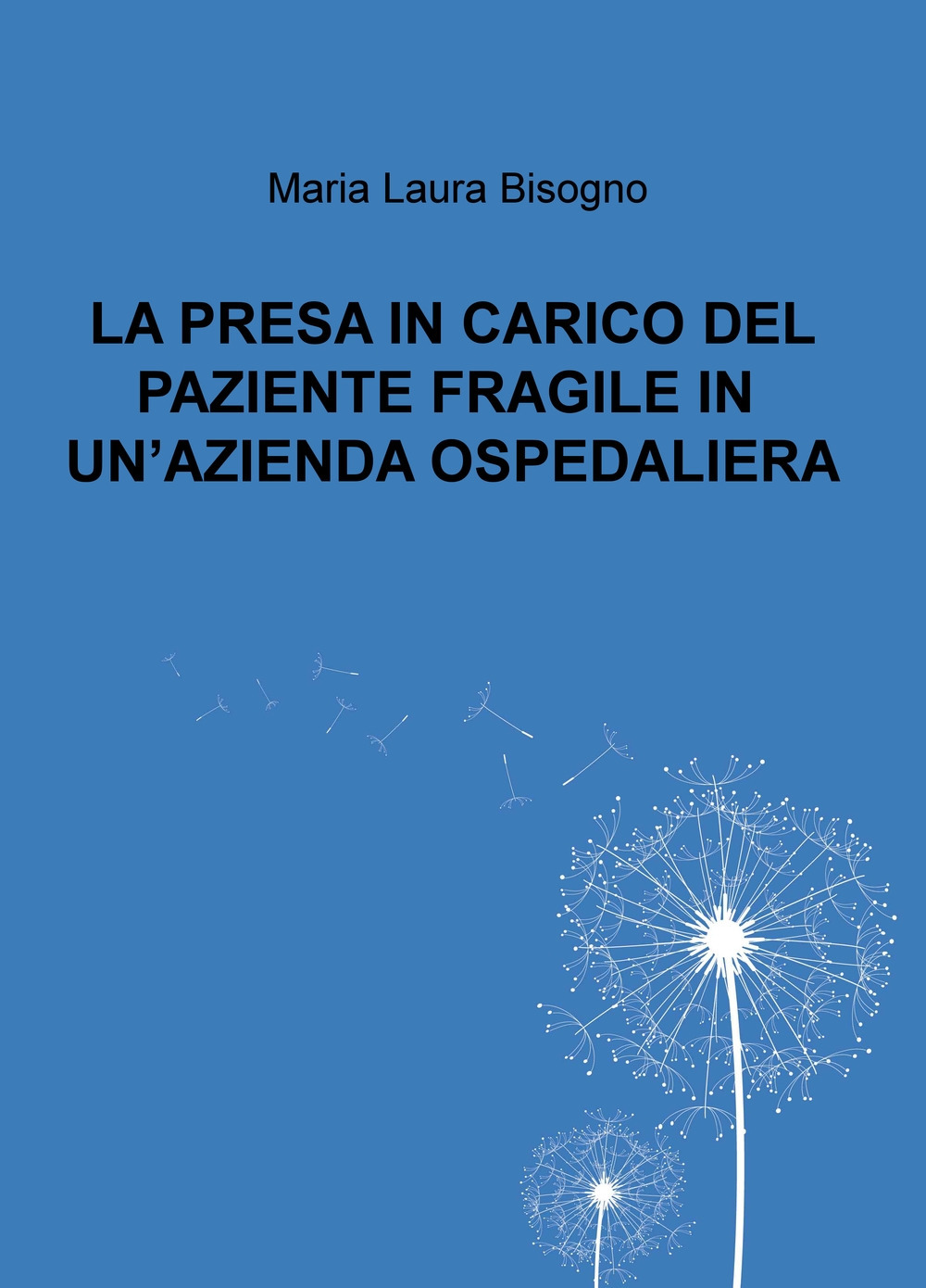 La presa in carico del paziente fragile in un'azienda ospedaliera