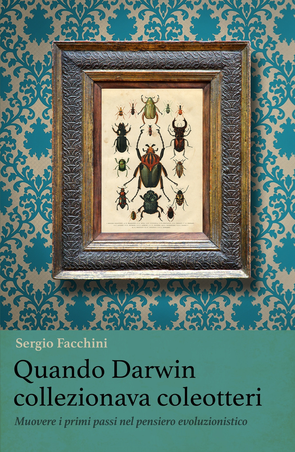 Quando Darwin collezionava coleotteri. Muovere i primi passi nel pensiero evoluzionistico