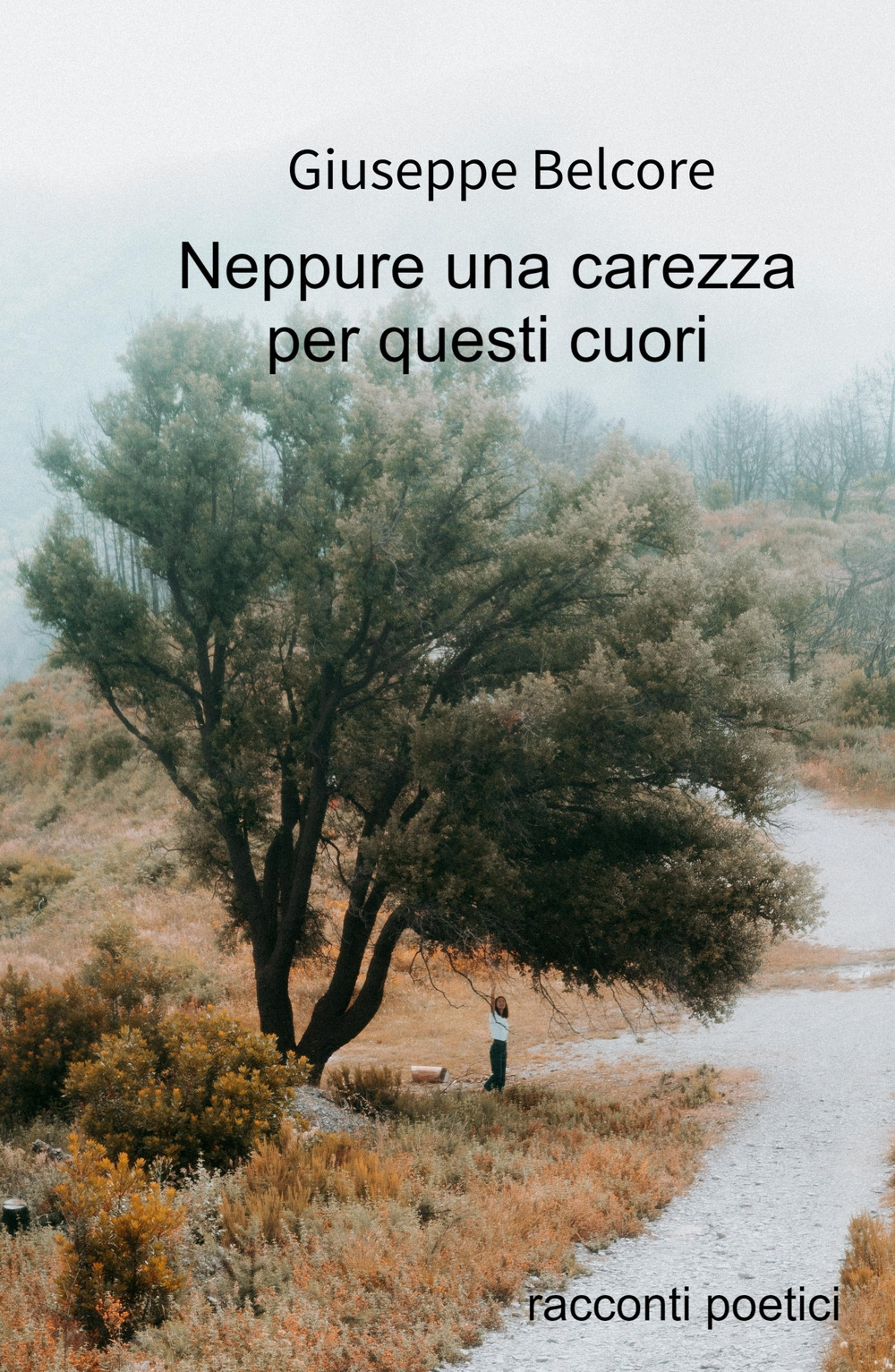 Neppure una carezza. Racconti poetici (1976-2020)
