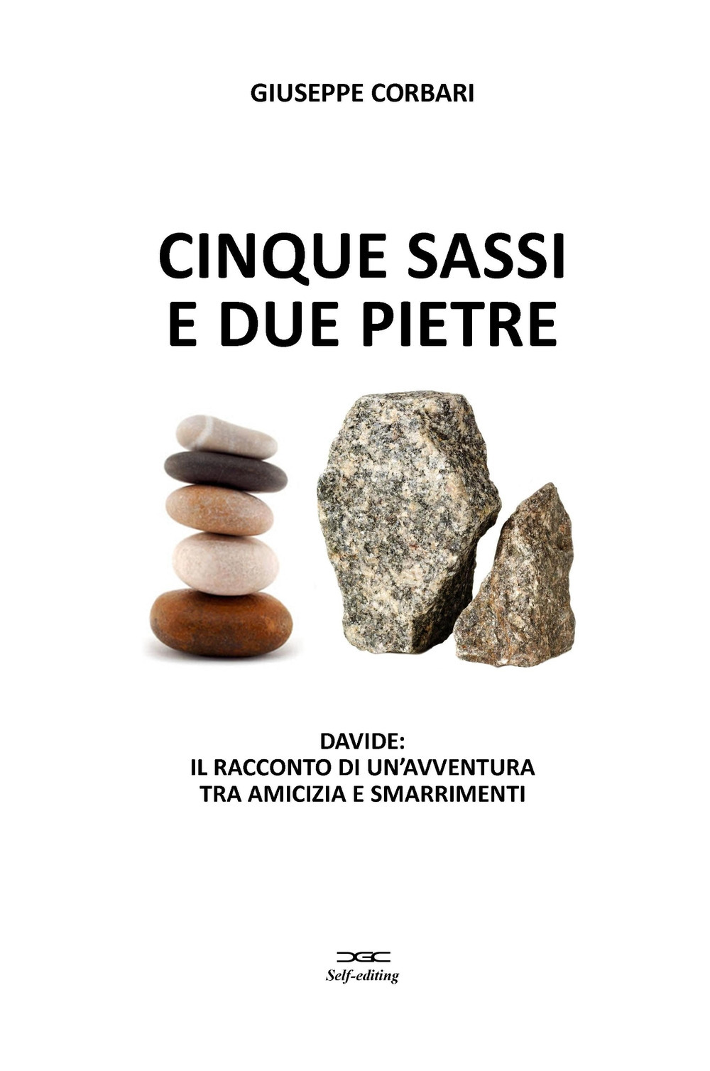 Cinque sassi e due pietre. Davide: il racconto di un'avventura tra amicizia e smarrimenti