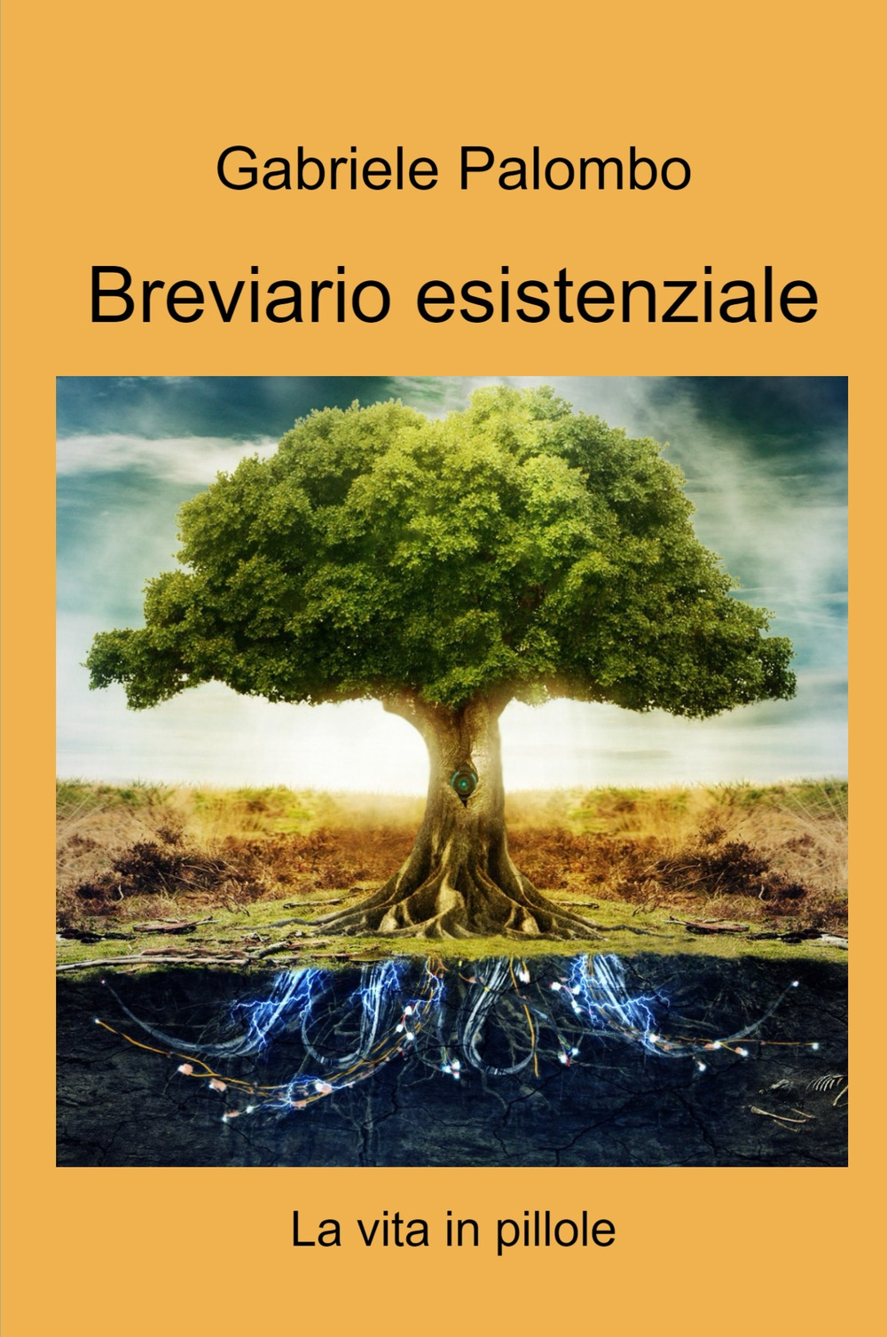 Breviario esistenziale. La vita in pillole