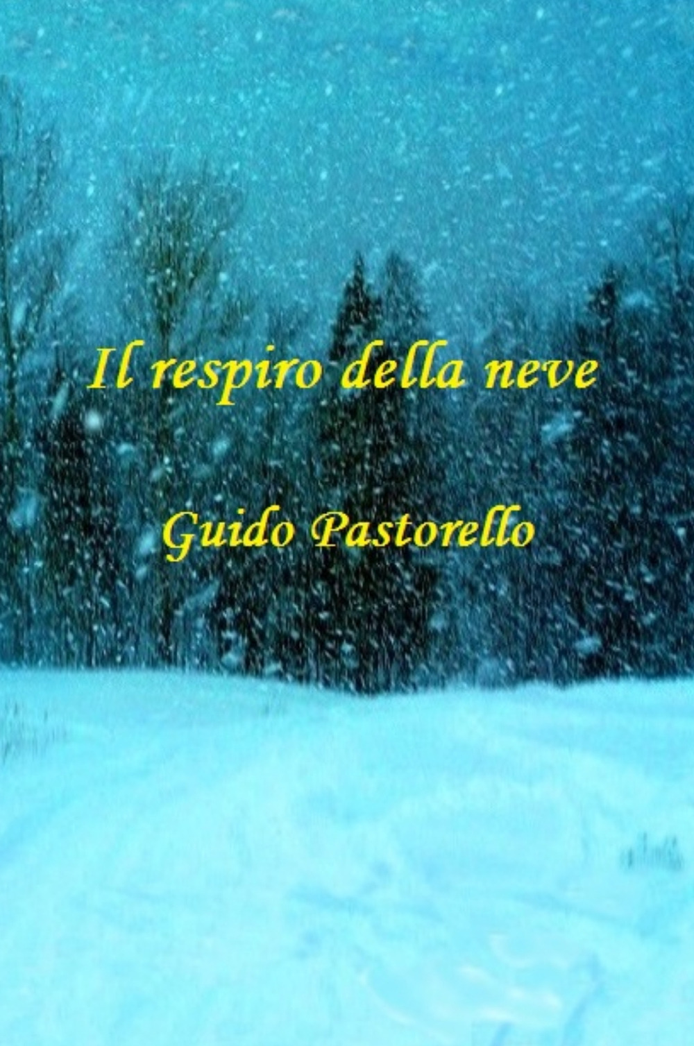 Il respiro della neve