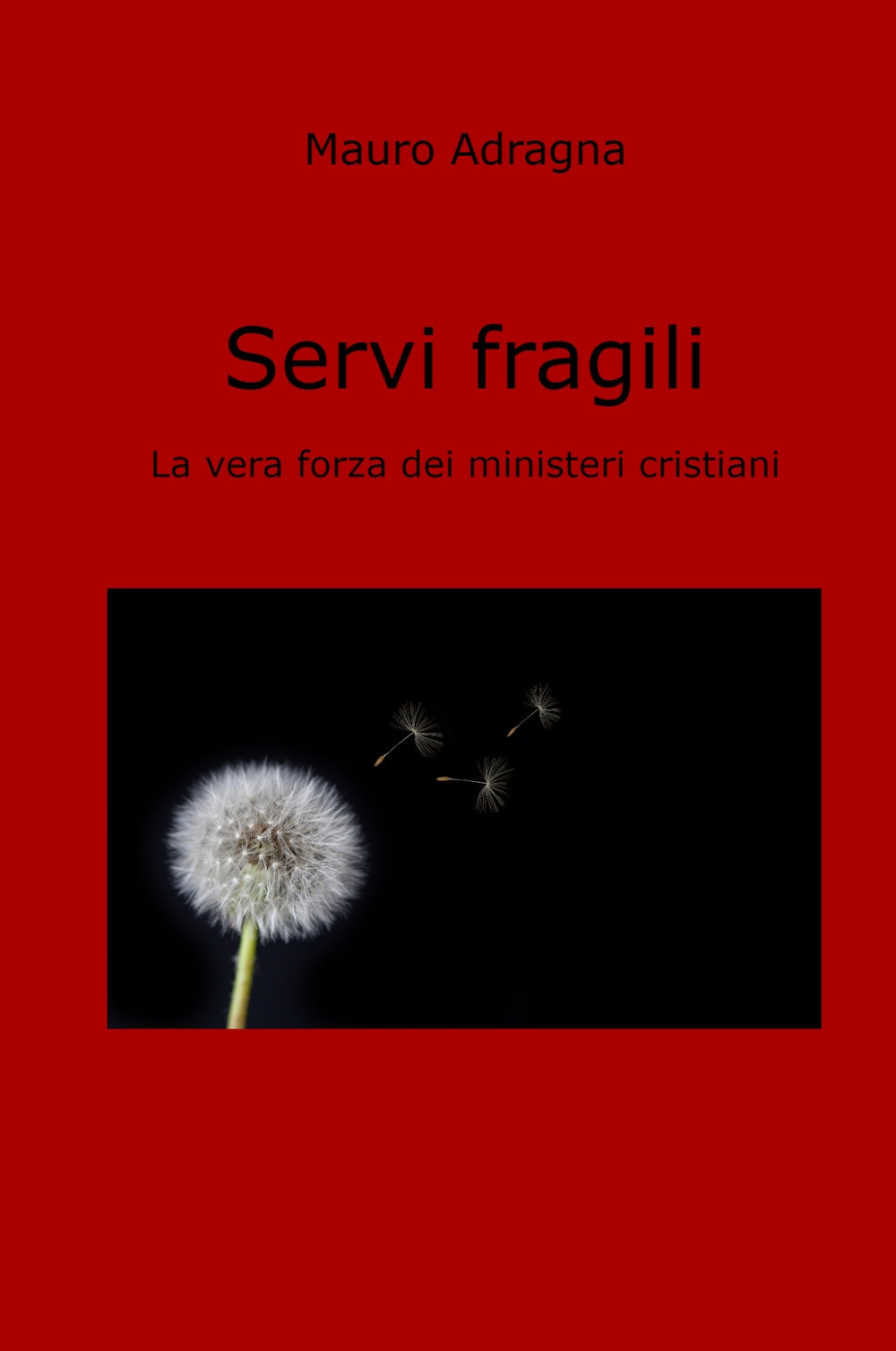 Servi fragili. La vera forza dei ministeri cristiani