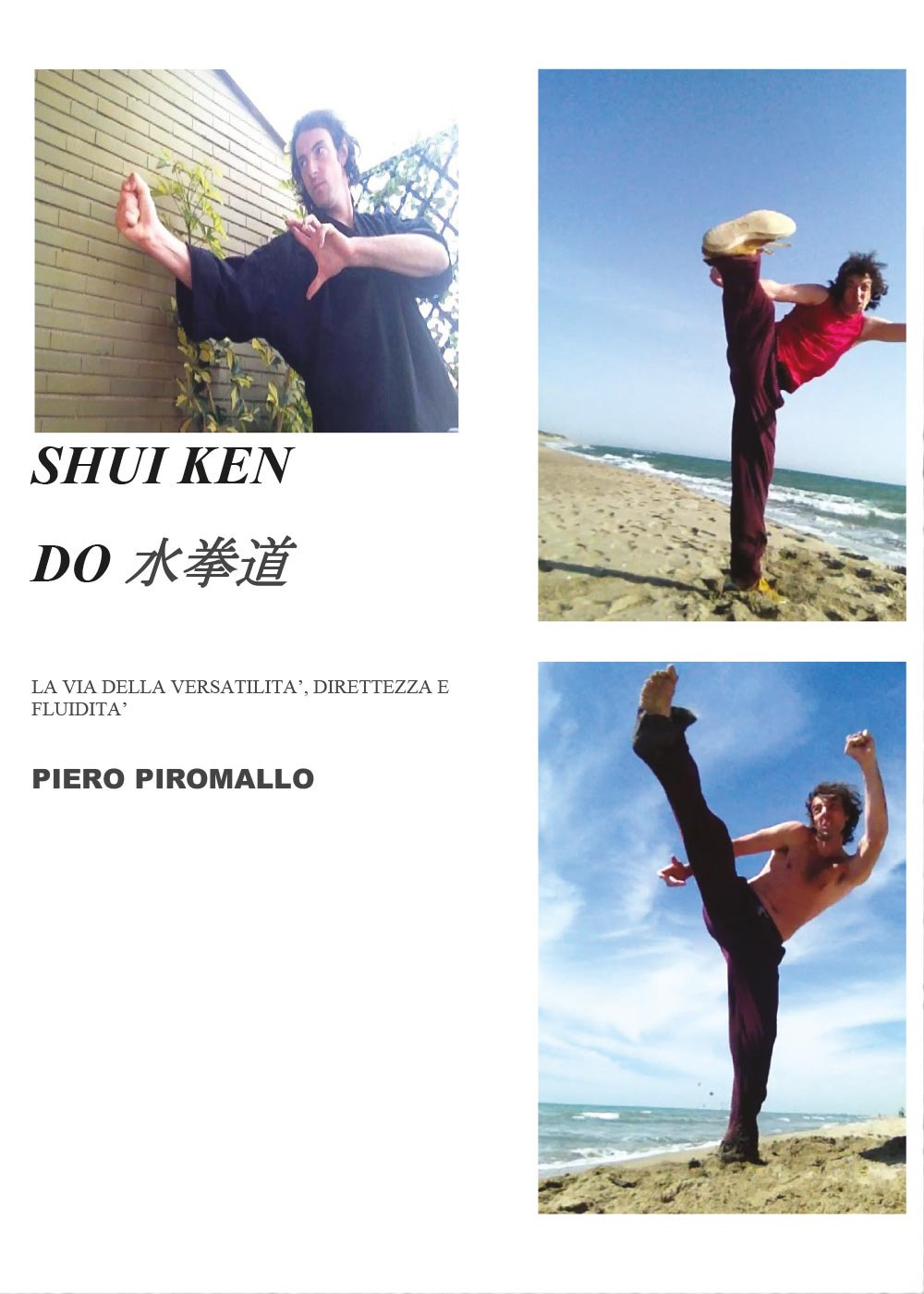 Sui Ken Do. L'arte marziale diretta, semplice e versatile