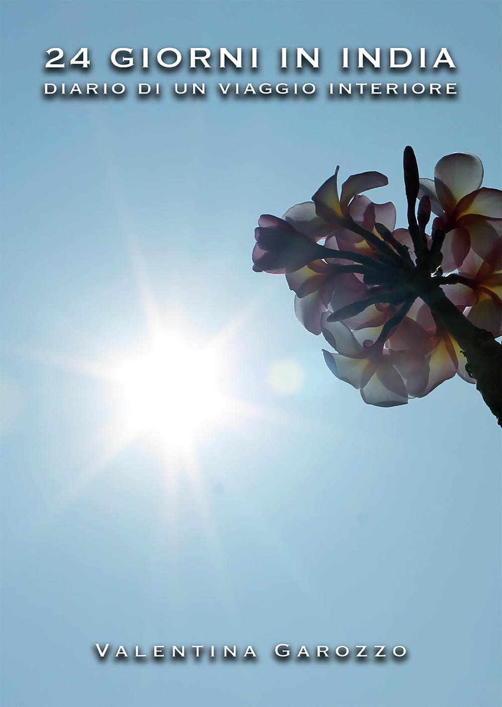 24 giorni in India. Diario di un viaggio interiore