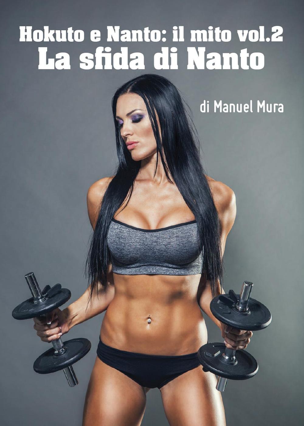 Hokuto e Nanto. Il mito. Vol. 2: La sfida di Nanto