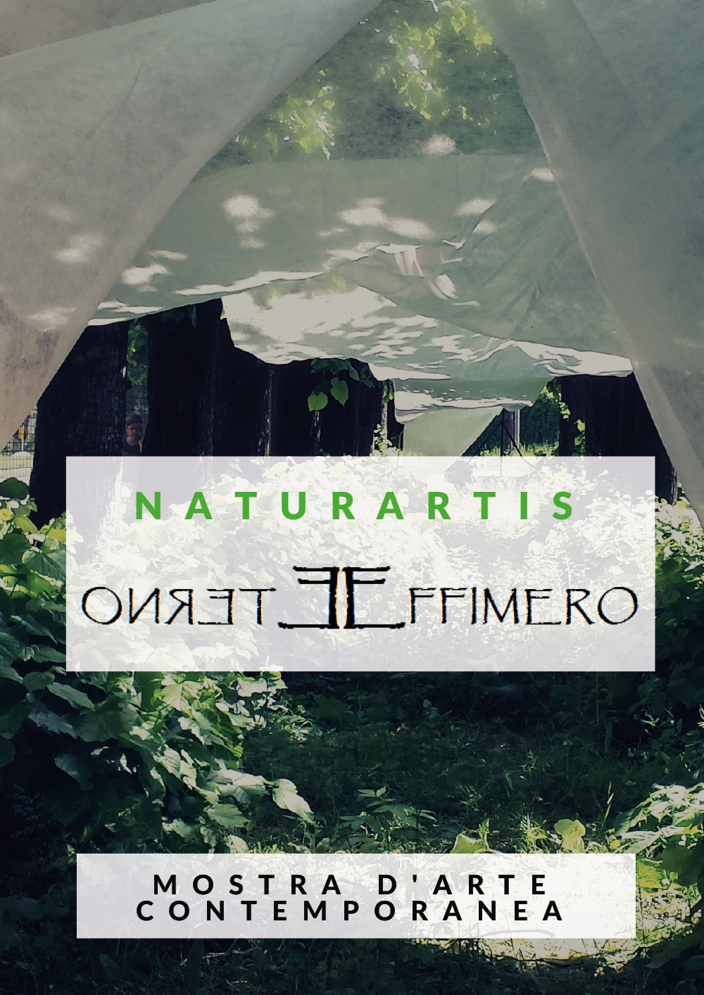 Naturartis. Eterno effimero. Cultura e ambiente. Catalogo della mostra (Solbiate Olona, 14-21 maggio 2017)