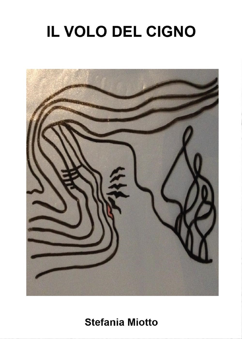 Il volo del cigno