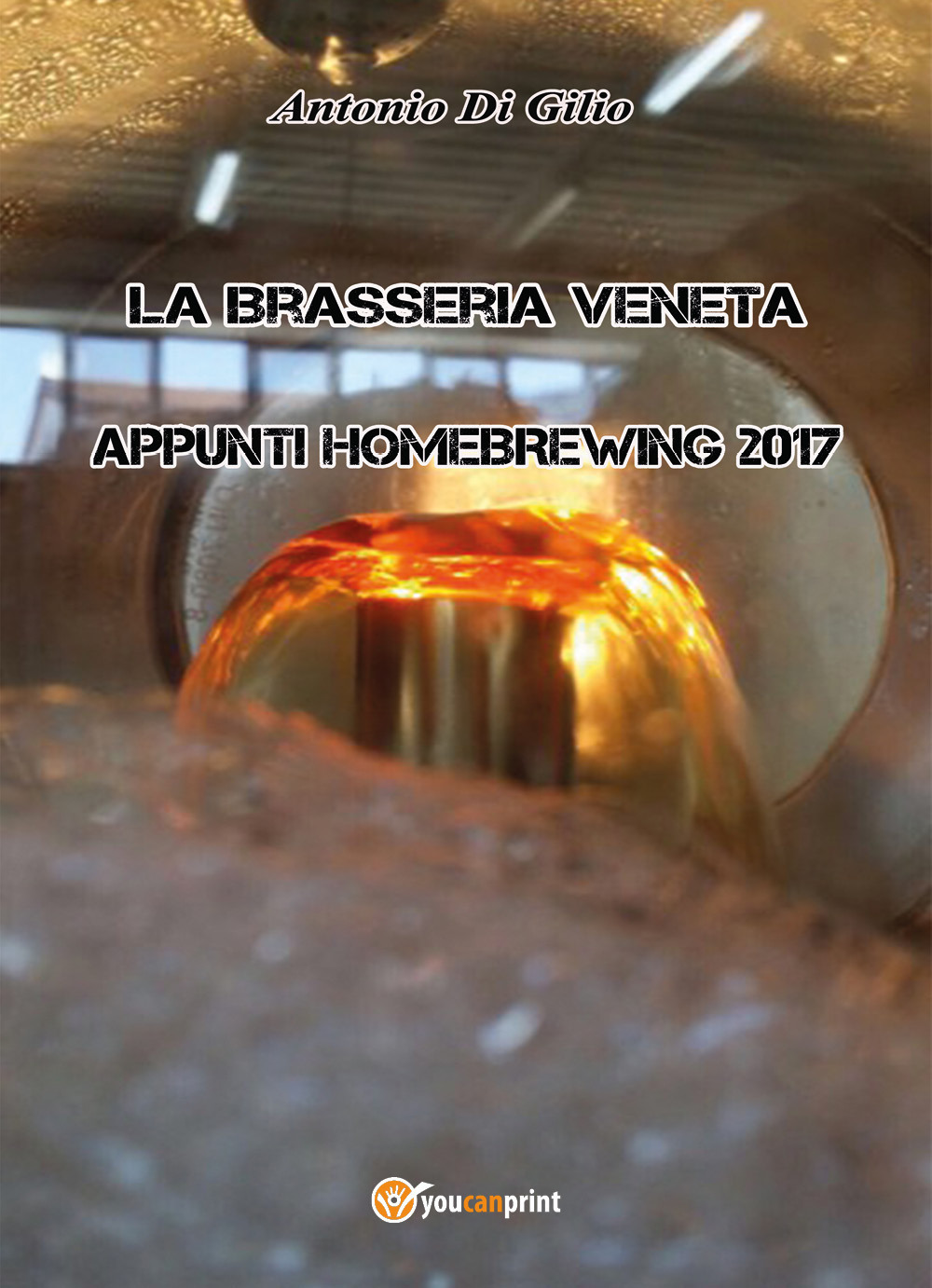 La brasseria veneta. Appunti di homebrewing. Vol. 1