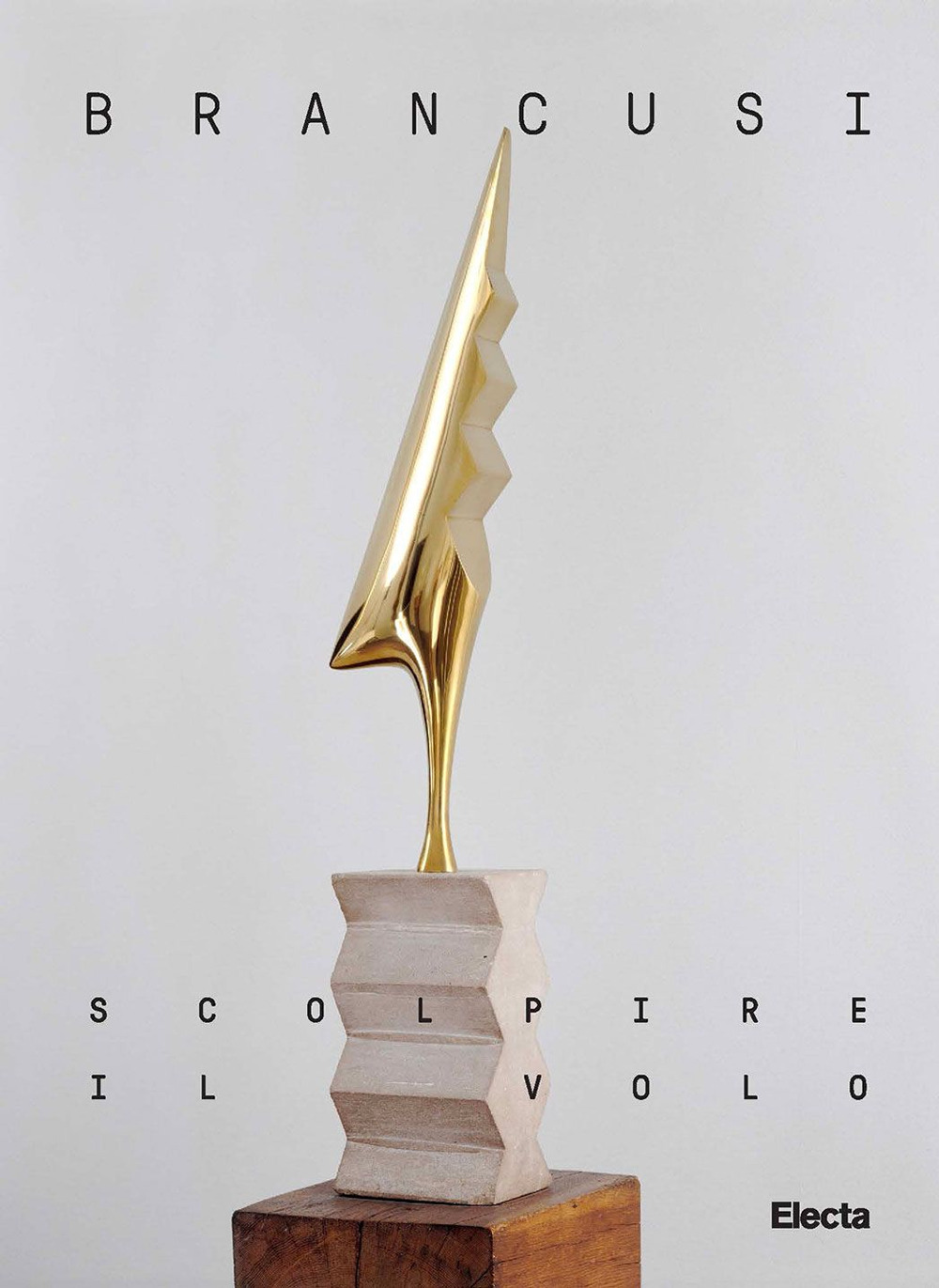 Brancusi. Scolpire il volo. Ediz. italiana e inglese