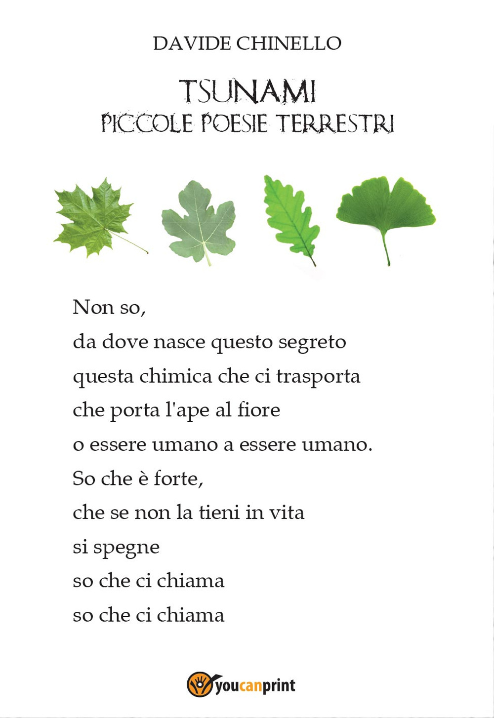 Tsunami, piccole poesie terrestri