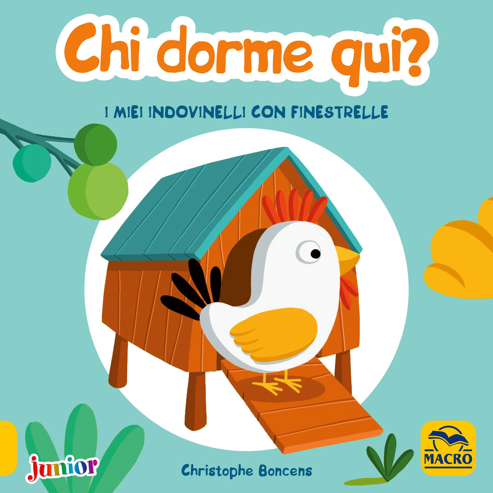 Chi dorme qui! I miei indovinelli con finestrelle