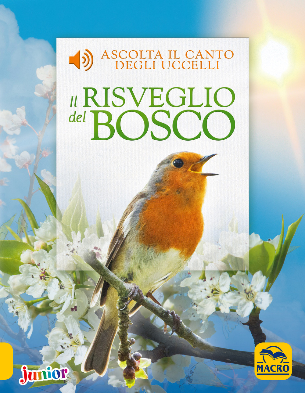 Il risveglio del bosco
