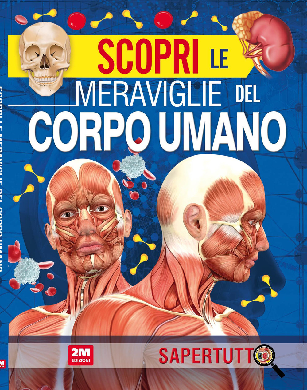 Scopri le meraviglie del corpo umano