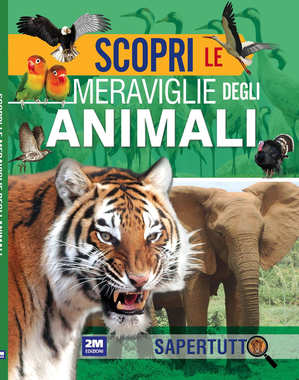 Scopri le meraviglie degli animali