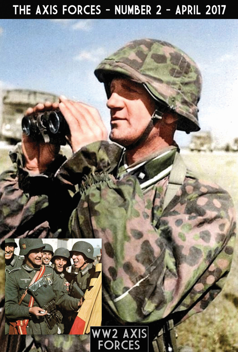 The Axis Forces . Vol. 2