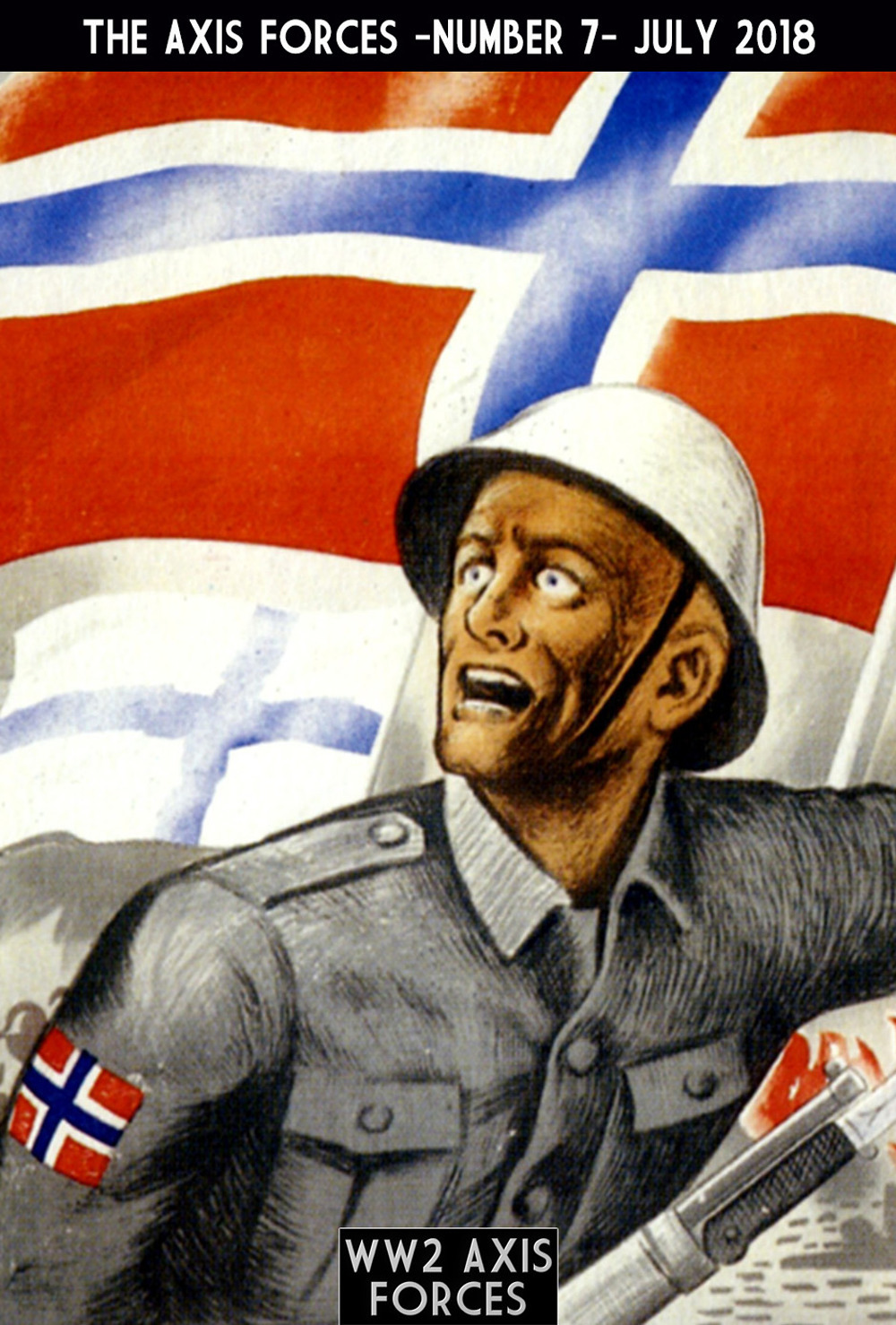 The Axis forces. Vol. 7