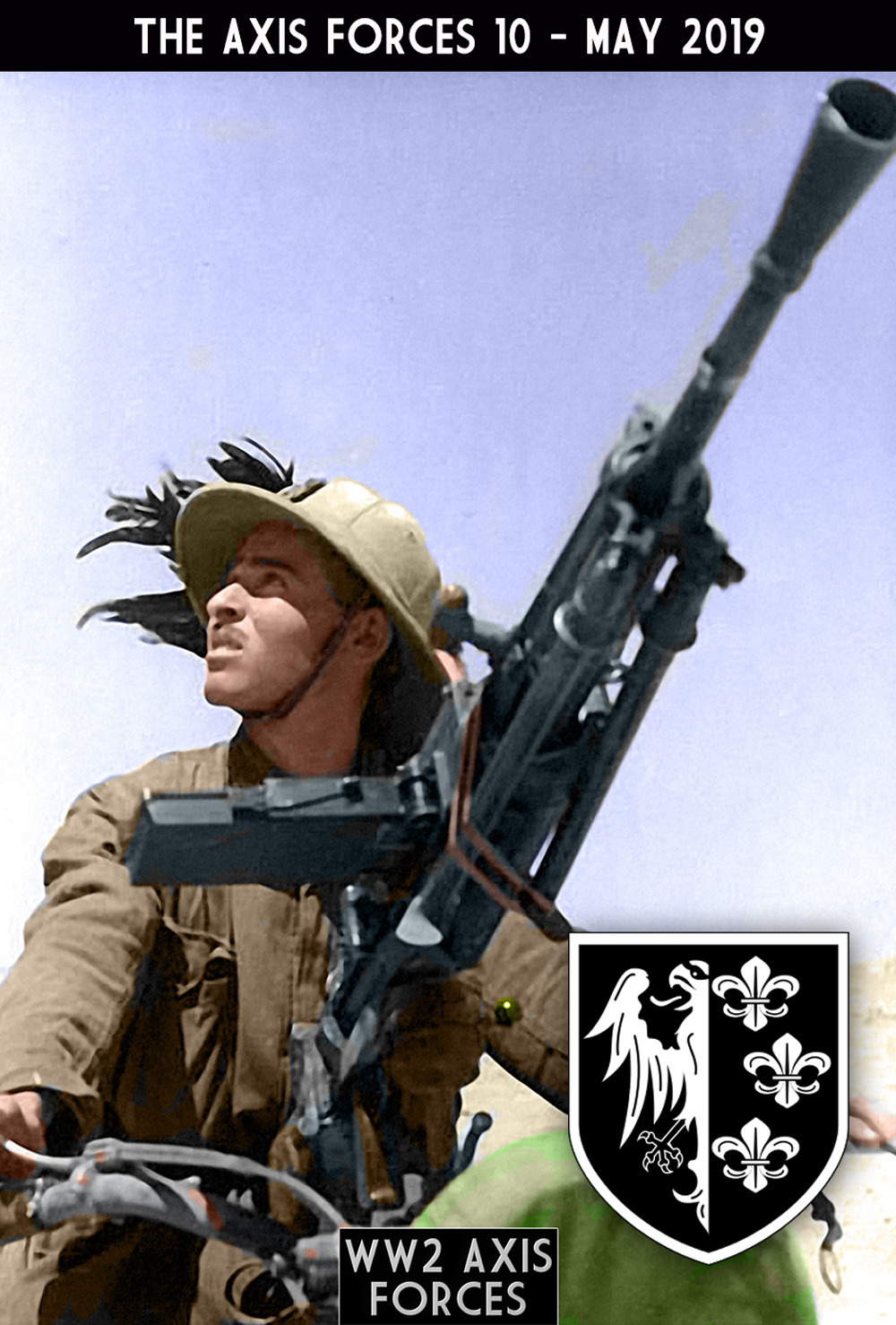 The Axis forces. Vol. 10