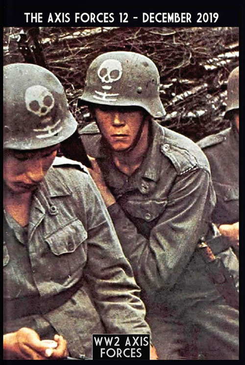 The Axis forces. Vol. 12