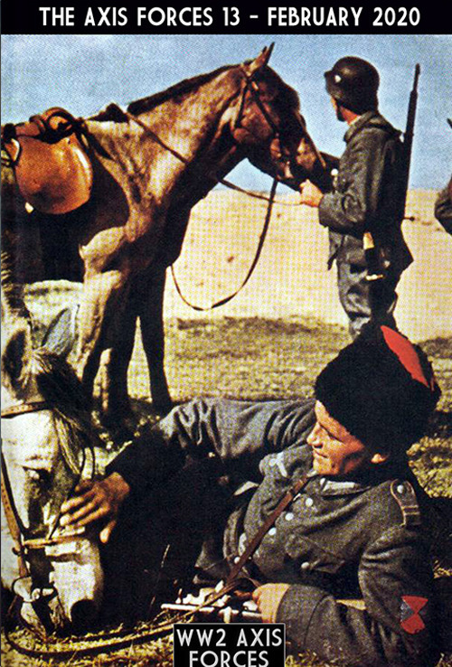 The Axis forces. Vol. 13