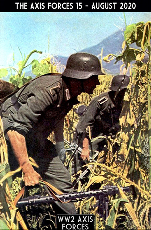 The Axis forces. Vol. 15