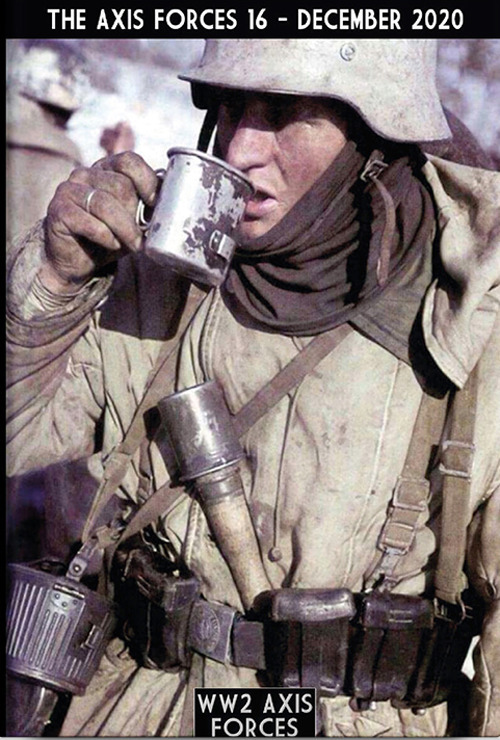 The Axis forces. Vol. 16