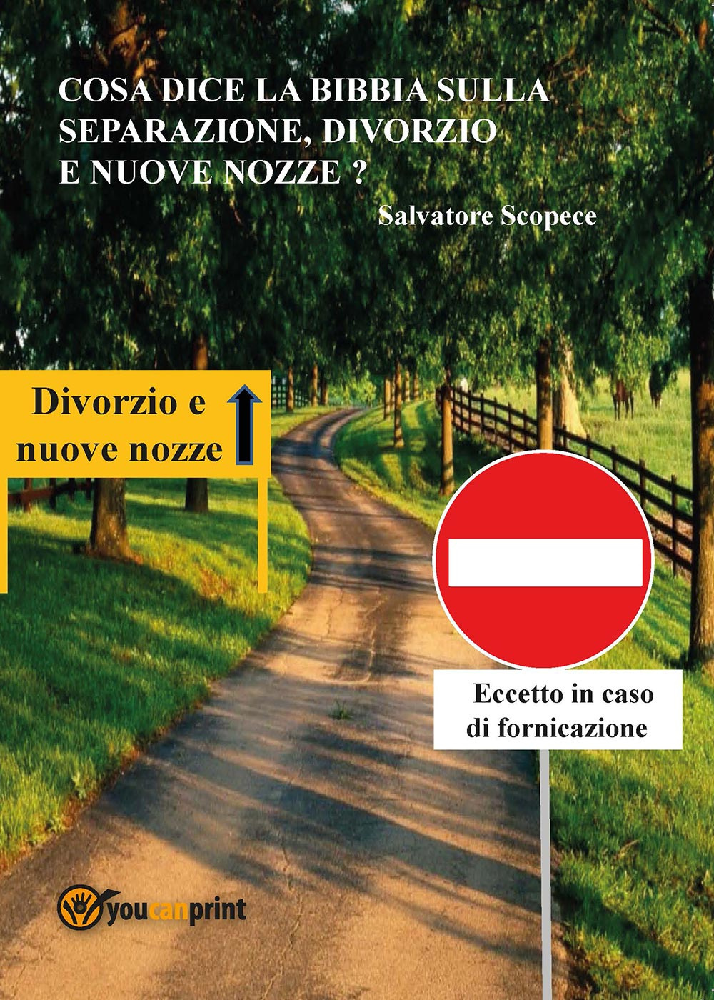 Cosa dice la Bibbia sulla separazione, divorzio e nuove nozze?