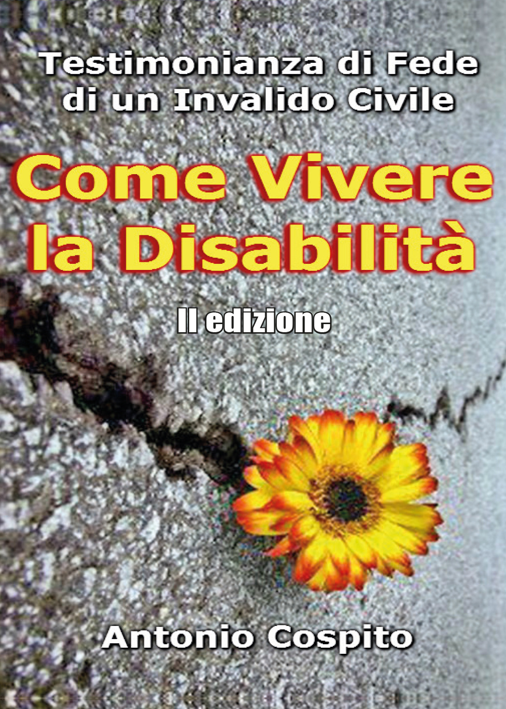 Come vivere la disabilità. Testimonianza di fede di un invalido civile