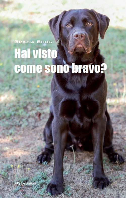 Hai visto come sono bravo?