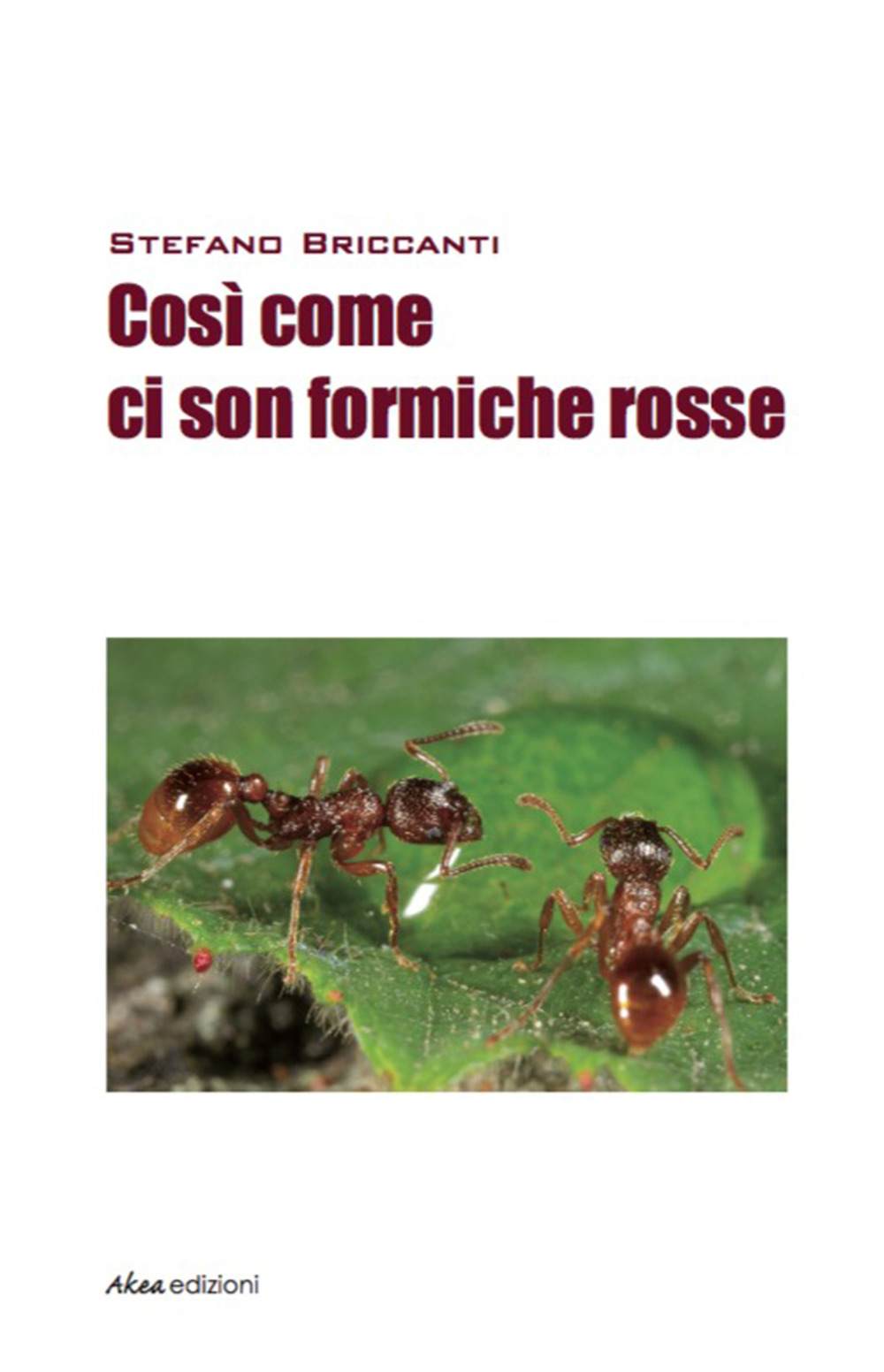 Così come ci son formiche rosse