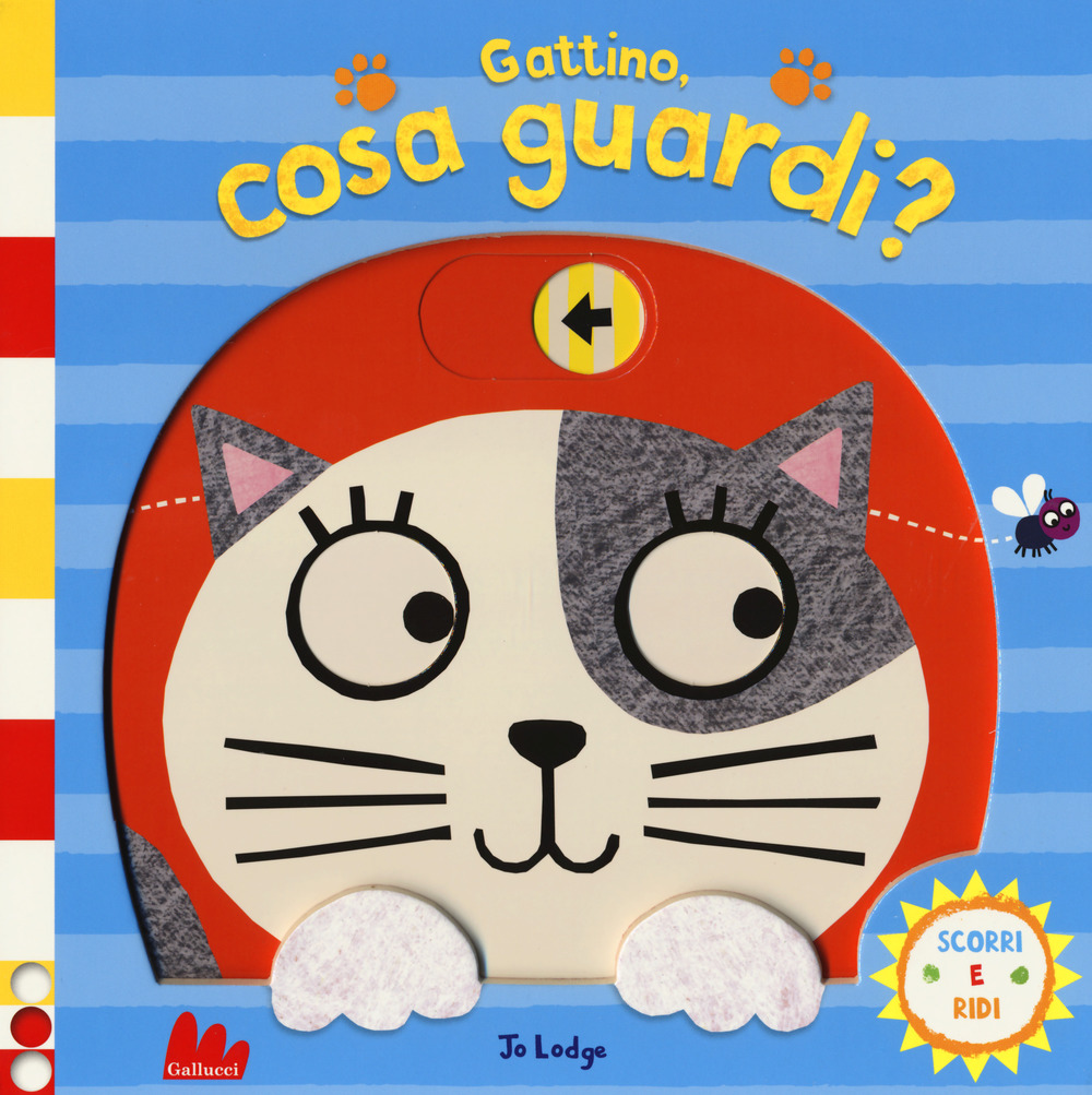 Gattino, cosa guardi? Scorri e ridi