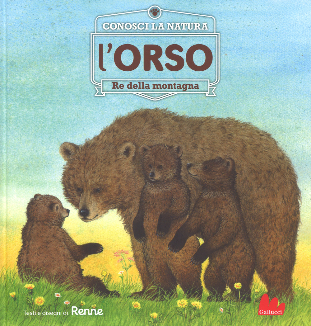 L'orso. Re della montagna. Conosci la natura