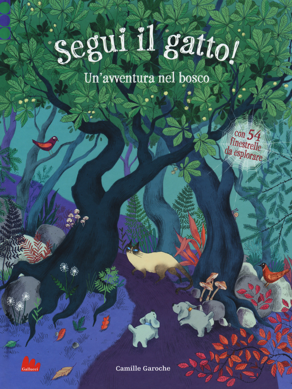 Segui il gatto! Un'avventura nel bosco
